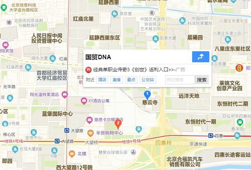 国贸dna