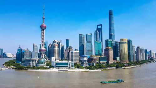 事关绿色低碳转型 国际贸易中心提质升级 工业降本增效,市委财经委会议逐一研究